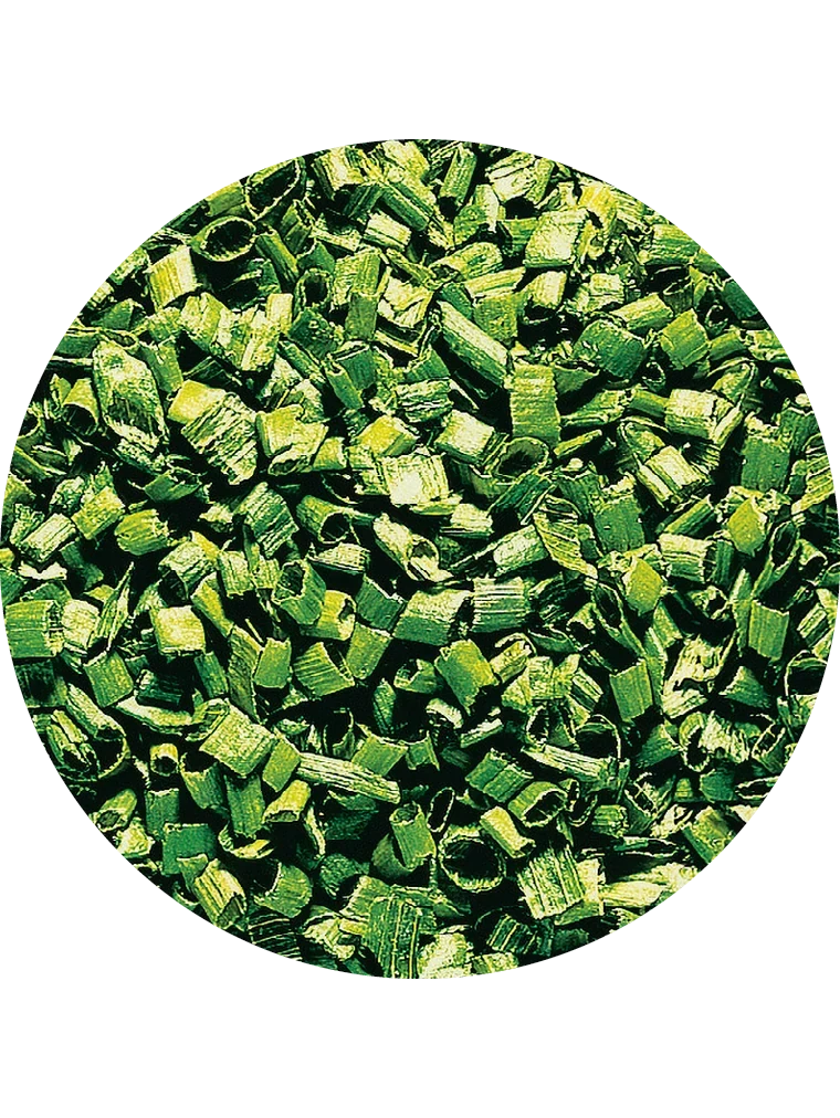 Schnittlauch, gefriergetrocknet