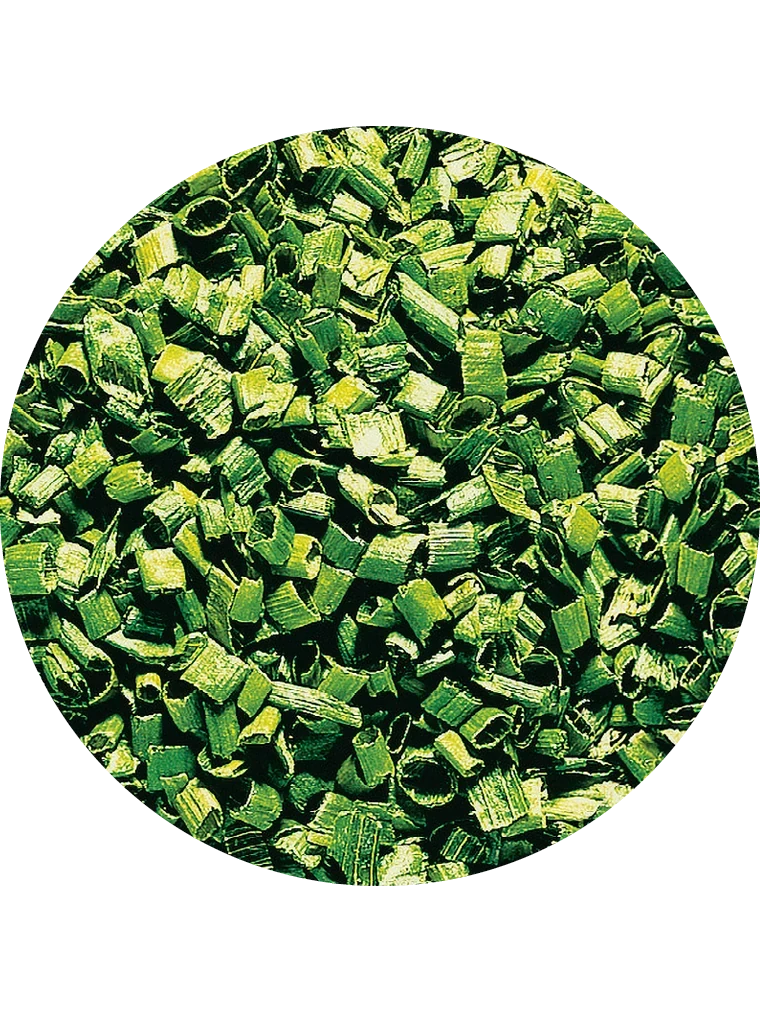 Schnittlauch, gefriergetrocknet