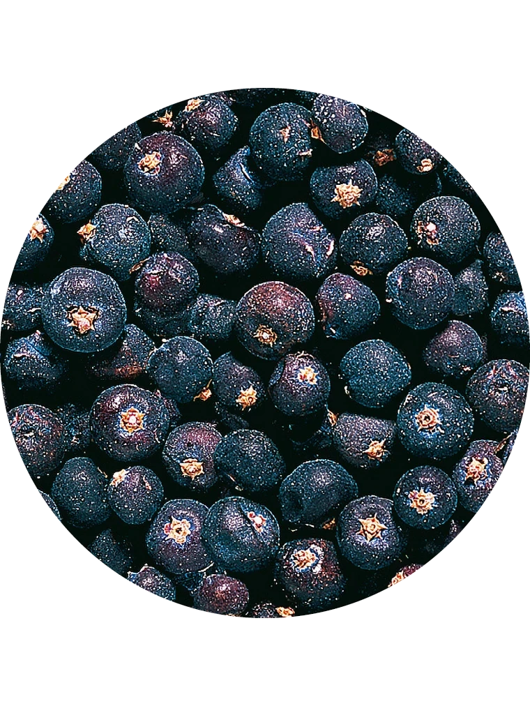 Wacholderbeeren, ganz